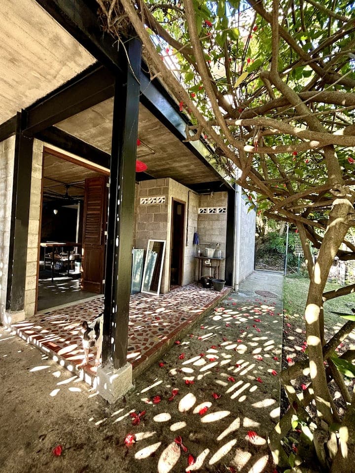 Casa Moderna Industrial Integrada à Mata Atlântica